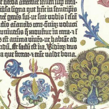 Genesis Script Print Italian Paper ~ Leonardo Communication